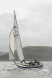 halley 2932c whyw25 fri 800_7529